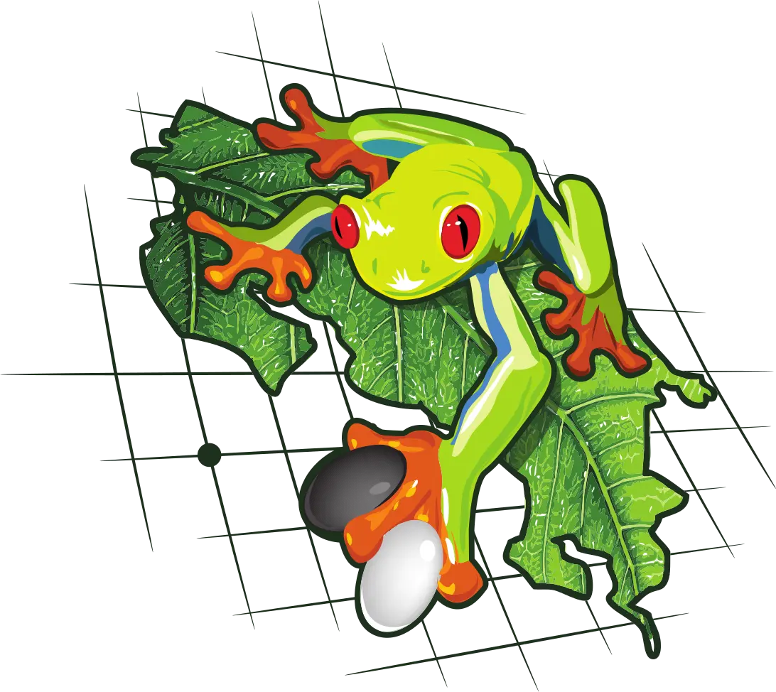 Asociación de Go de Costa Rica
